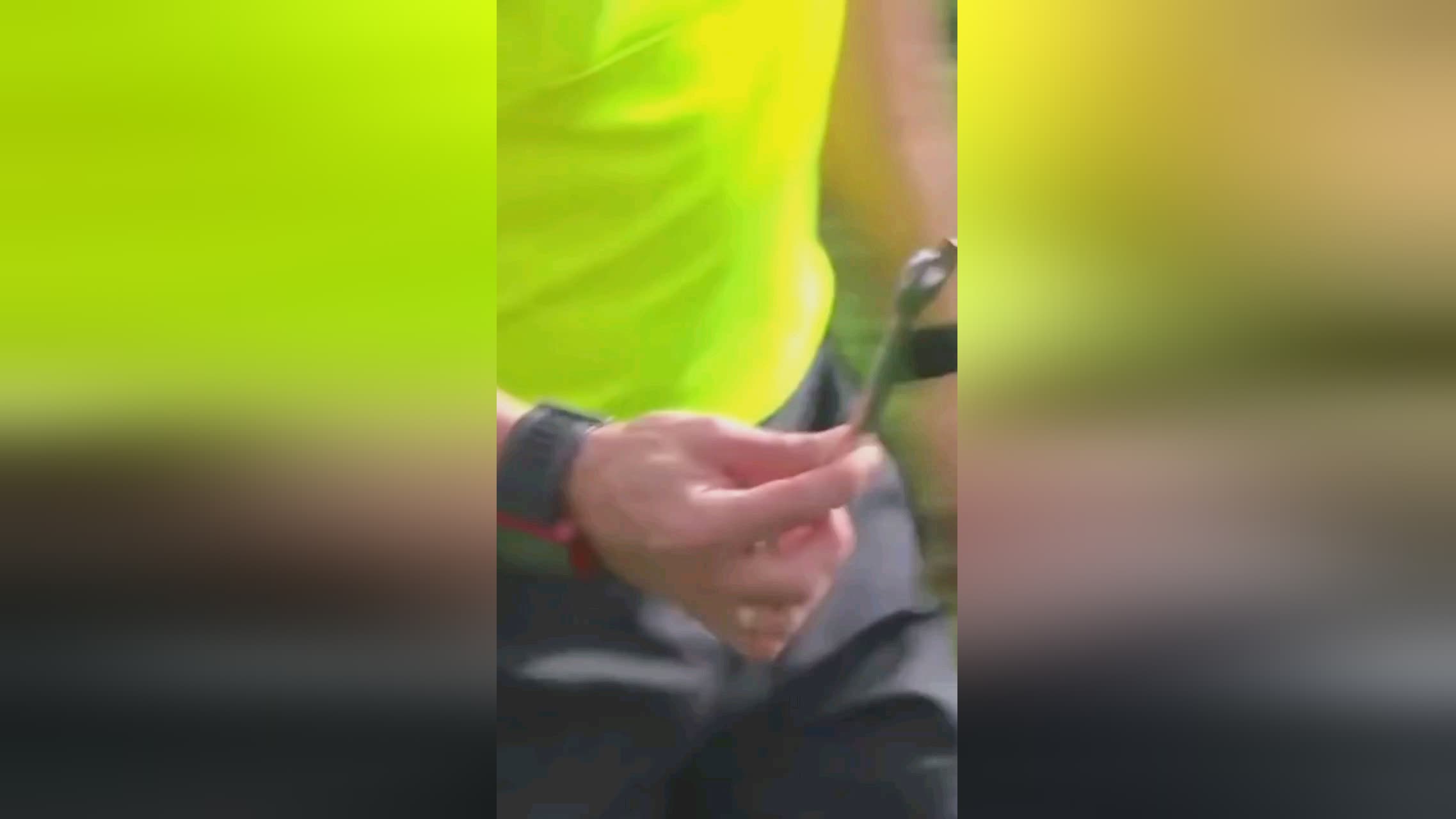 姆斯名