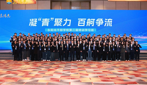 凝“青”聚力，百舸争流 | 斗球体育直播干部学校2024年第二届培训学习班圆满结束